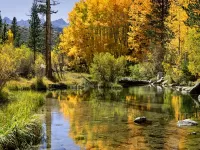 218-High-country-in-the-fall_1920x1440_U_20_Long-Edge