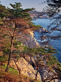 223-Last-light_1440x1920_U_20_Long-Edge