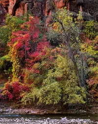 84-Fall_1518x1920_U_20_Long-Edge