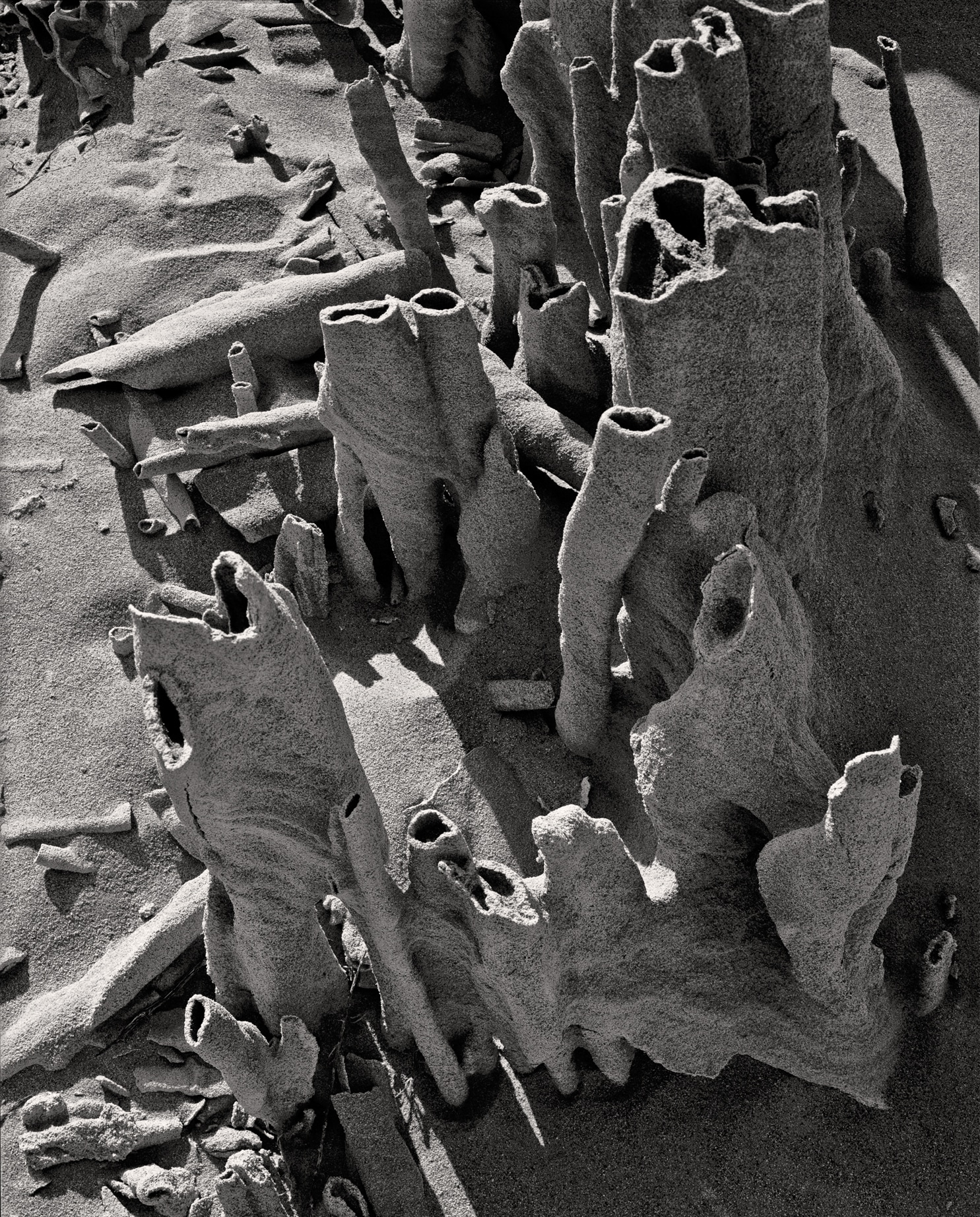 699Tufa