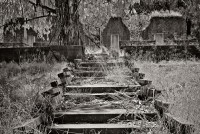 177-Abandoned-cabin