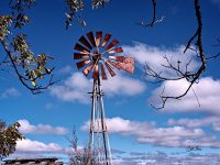 TxOldWindmill_DSC8062_mix_noAlce_noEdges-copy
