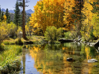 218-High-country-in-the-fall