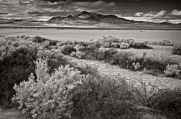 Cuddeback Lake in the Mojave Desert is the abandoned and forgotten site of WW2 Cuddeback Lake Air Force Gunnery Range, so you can occasionally find some pretty strange things sticking out of the lakebed.  It is also one of the emergency landing sites for the X-15 rocket plane, where one crashed killing its pilot in 1969!  The targets have been replaced with OHV tracks.  Desolate and strange. Infrared.  Near Atolia, CA.