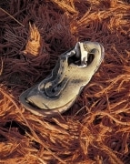 Proudly sitting atop a pile of baling twine, this old shoe surveys the rest of the junkyard in the glow of the setting sun.  Junkyard near Beaver, Utah.