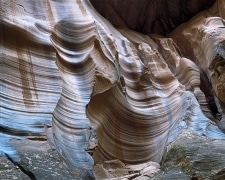With light entering from the distant top of a slit canyon, this wall in Buckskin Gulch glows with an eerie radiance.  It is the longest and deepest slot canyon in the southwest United States and may very well be the longest in the world.
