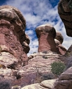 When they were discovered, the German word for graves, Graben, were used to describe the narrow walled canyons in Canyonlands National Park, UT.  They are a system of linear collapsed valleys caused by the movement of underlying salt layers toward the Colorado River canyon. The grabens begin near the confluence of the Green and Colorado Rivers and run roughly parallel to Cataract Canyon for 25 km.  So they aren't small.