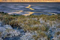 The just risen sun reddens the distant mountain which is normally almost colorless.  Salt clings to the salt grass.  In between the unlikely water standing in this dry place reflects the mountains on a palette of blue mud.  Death Valley National Park, CA.