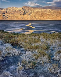 51 Glowing Rivulets
