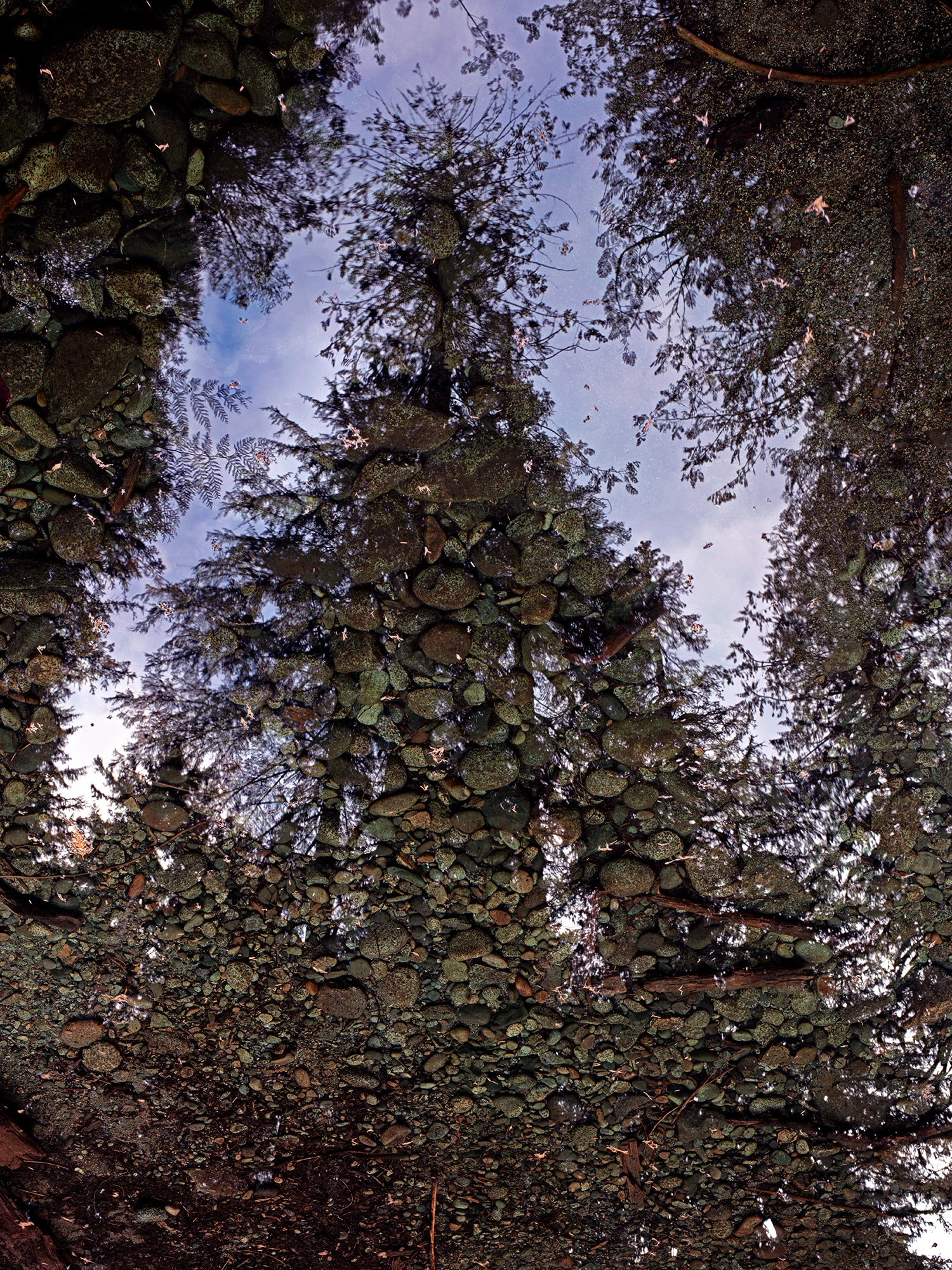 reflection_deceptionCreek_R4_1623_ss_1500x2000_H_20_G2_LessQualityWGrain