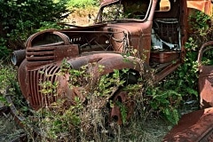 truck_quinalt_R4_1055_sq