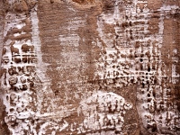 Alkali stain