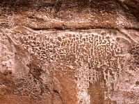 Alkalai stain