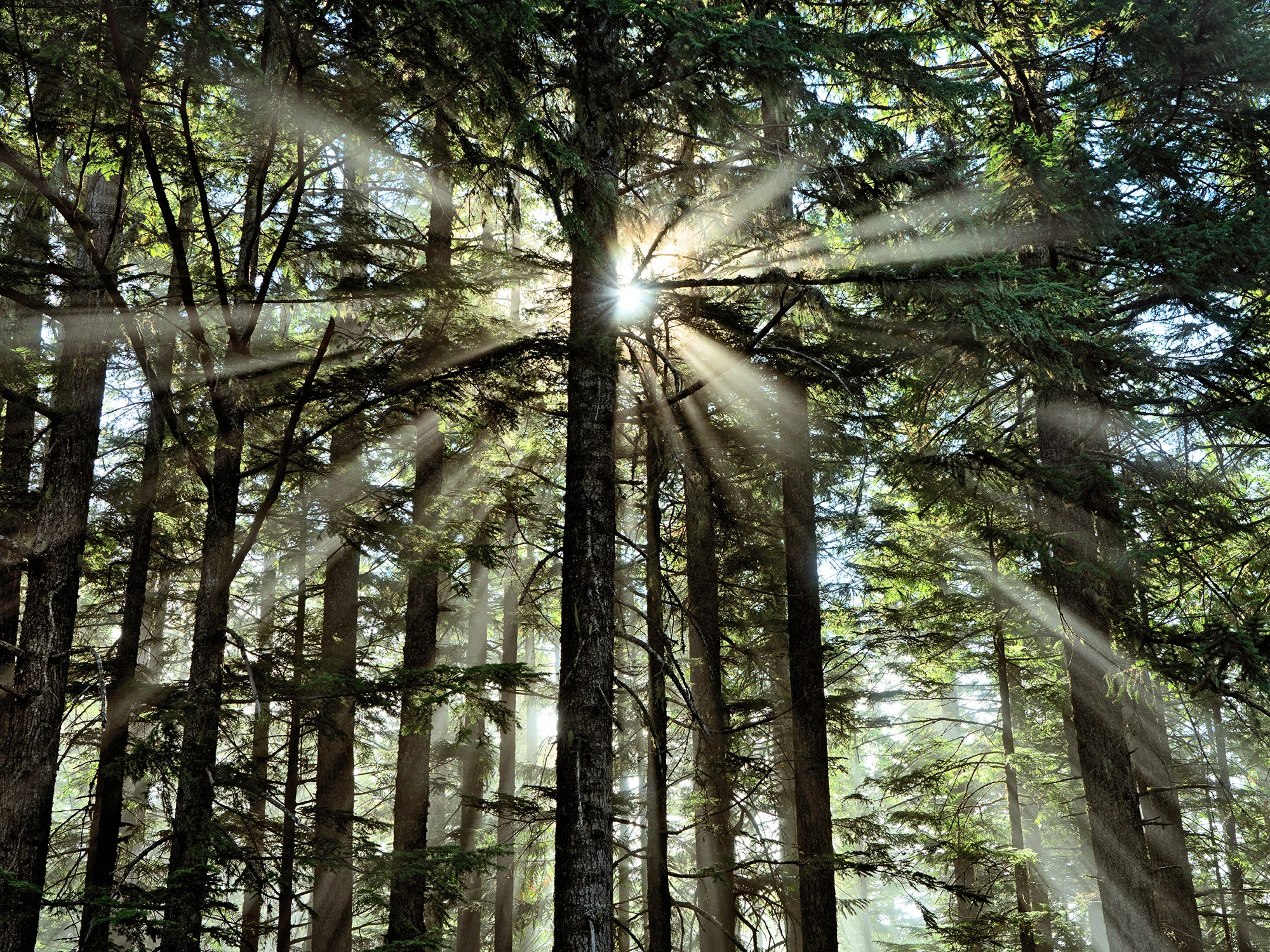 sunbeams_MtwalkerViewpoint_R4_1235_2000x1500_H_20_G2_LessQualityWGrain