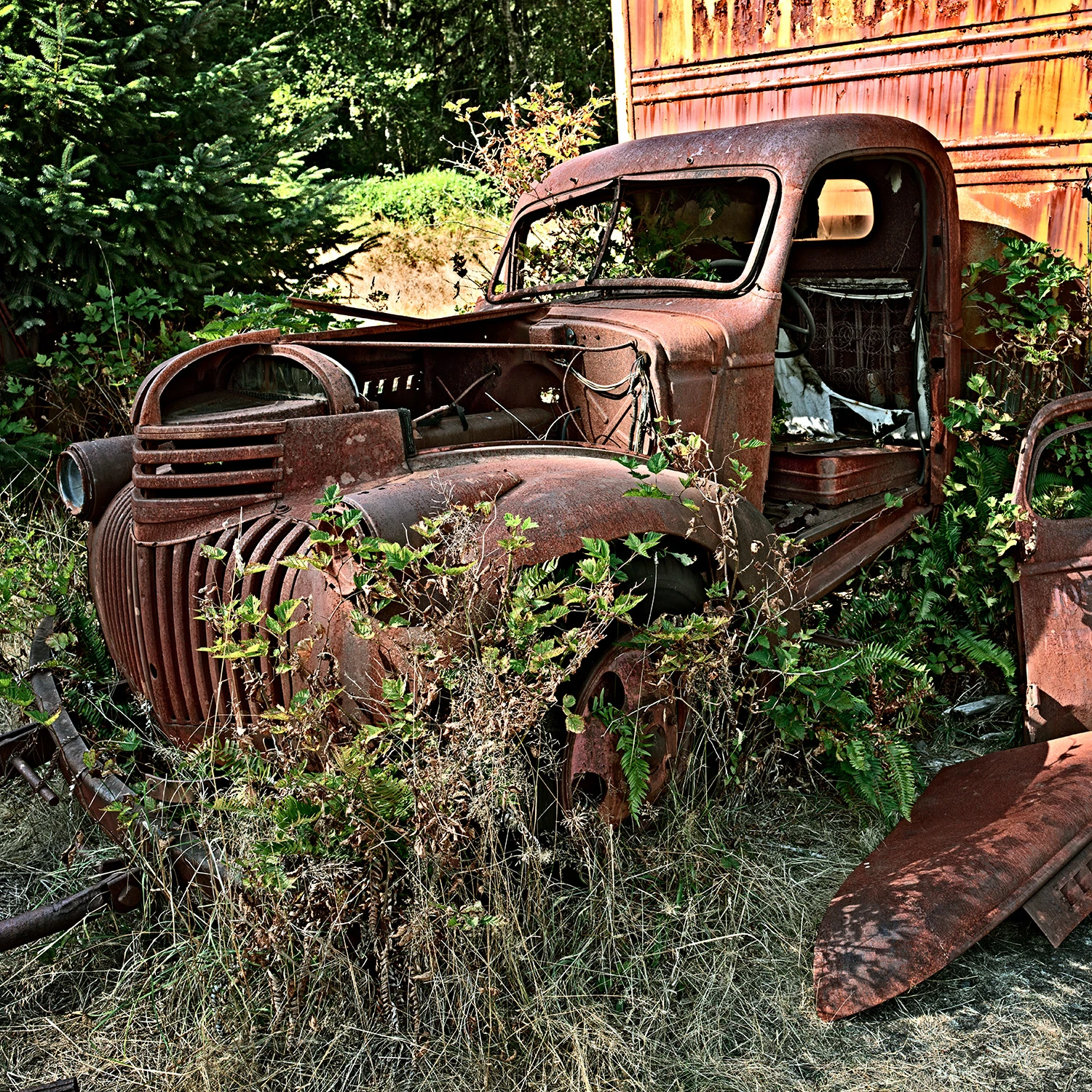 truck_quinalt_R4_1055_sq_1500x1500_H_20_G2_LessQualityWGrain