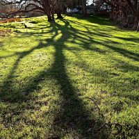 valpoFieldShadows_DSF1065_sq