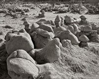 163-The-Goblins-