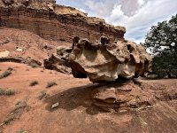 junkyardRock_R4_0620_ss