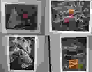 The donated images
