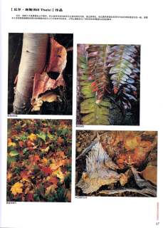 My Page in magazine