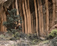 53-Tapestry-Wall-