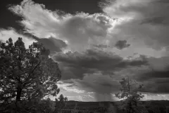 VIR5432_MogollonRim_1920x1281_U_20_Original-ratio