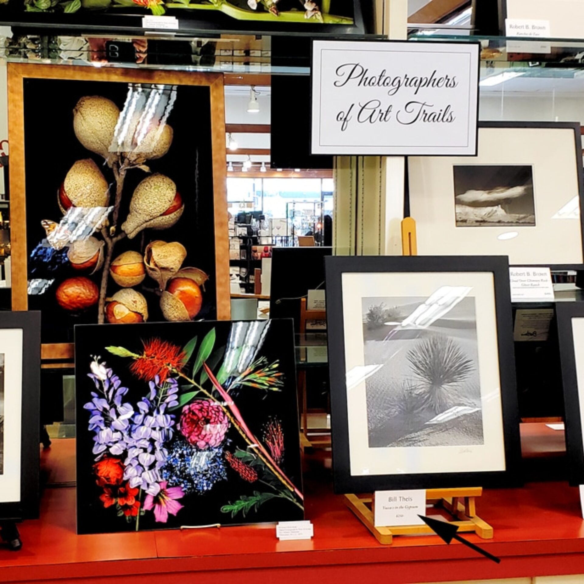 Photo Exhibition at Corrick’s for Art Trails artists