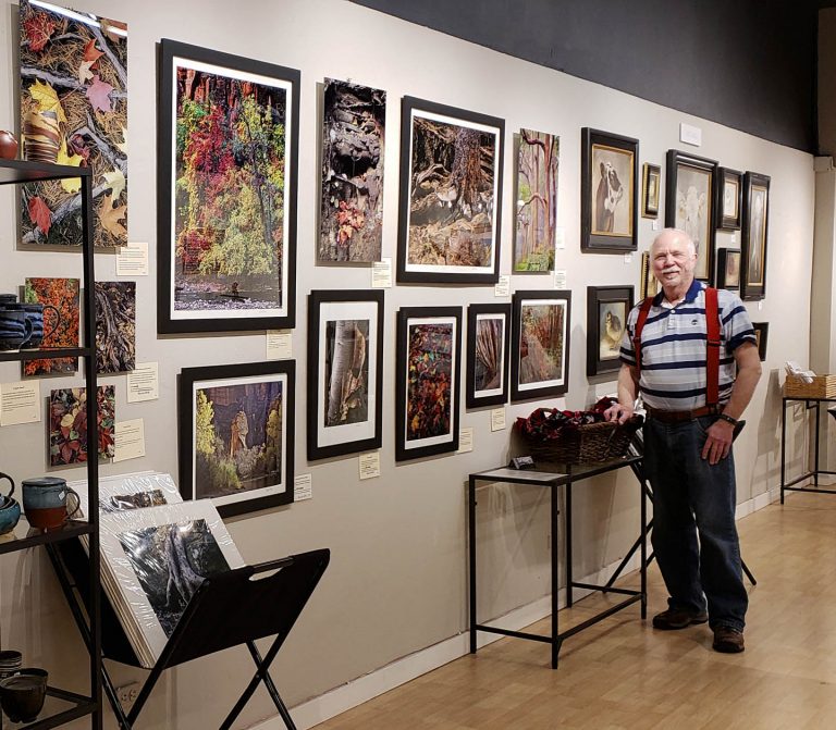 I am a Guest Artist at Sebastopol Gallery