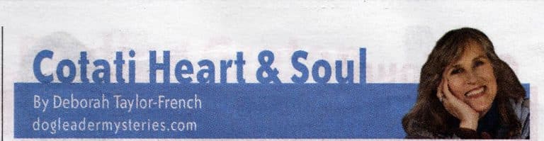 Review in the Sonoma County Gazette for 2018 Art Trails