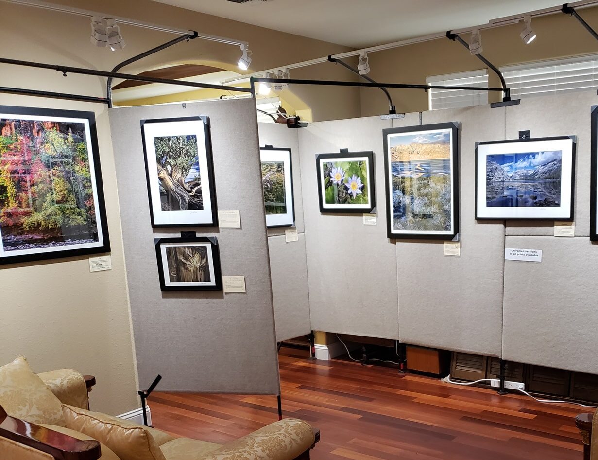 Art Trails Open Studios 2019