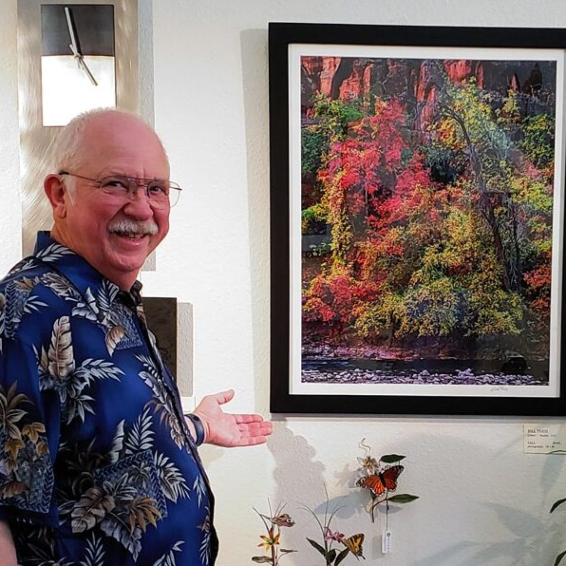2nd Preview Exhibit at Gallery One in Petaluma