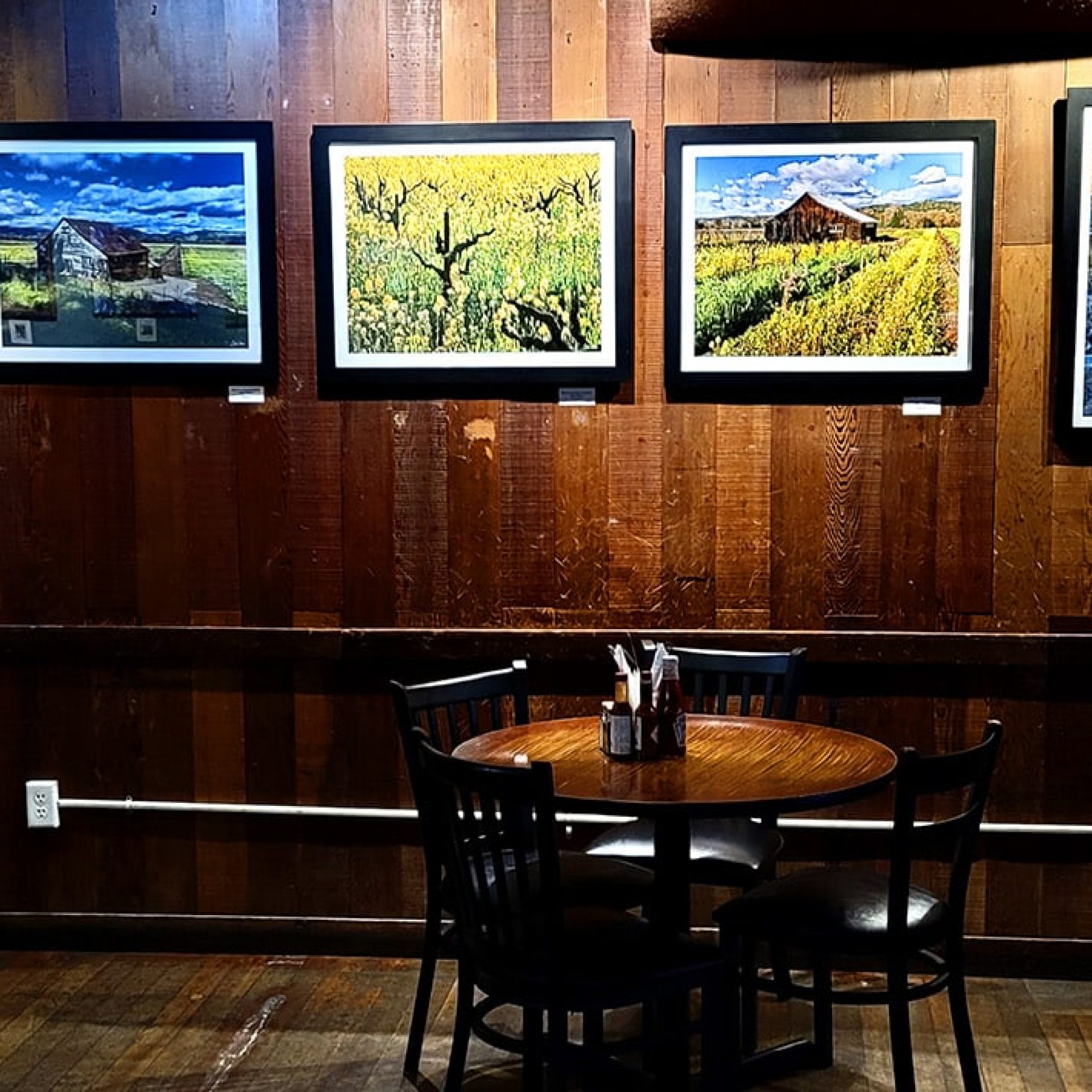 My Redwood Cafe Show
