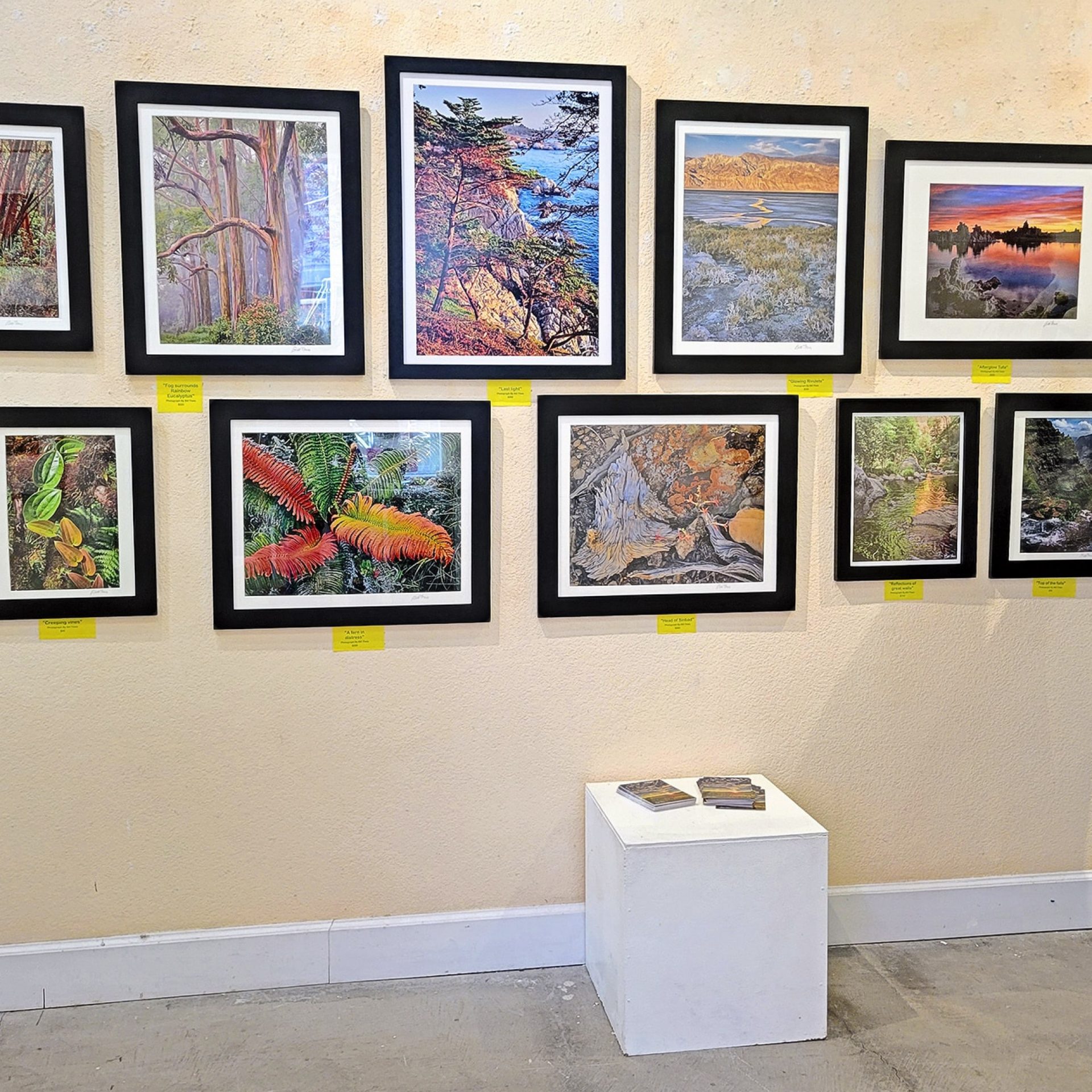 Graton Gallery Invited Artist
